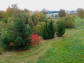 Parduodamas 1,4 ha žemės ūkio paskirties sklypas - nuotraukos Nr. 6
