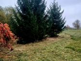 Parduodamas 1,4 ha žemės ūkio paskirties sklypas - nuotraukos Nr. 13