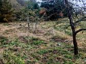 Parduodamas 1,4 ha žemės ūkio paskirties sklypas - nuotraukos Nr. 15