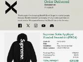 Supreme Satin Appliquhooded Sweatshirt - nuotraukos Nr. 3