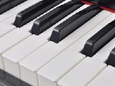 Skaitmeninis pianinas vidaxl(70045) - nuotraukos Nr. 2