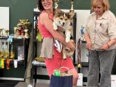 Welsh corgi pembroke boys & girls - nuotraukos Nr. 9