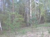 Skubiai Parduodamas sklypas 2,05ha - nuotraukos Nr. 3