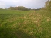 Skubiai Parduodamas sklypas 2,05ha - nuotraukos Nr. 8