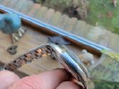 Rolex Oyster Perpetual Date 1500 (1970 m.) - nuotraukos Nr. 7