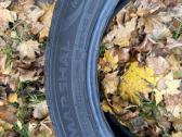 Marshal Mu12 245/45 Zr18 100w 2021 metų - nuotraukos Nr. 5