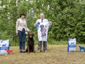 Garbanotas retriveris / Curly coated retriever - nuotraukos Nr. 5