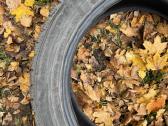 Nokian Hakkapeliitta R2 Suv 255/45 R20 105r XL - nuotraukos Nr. 2