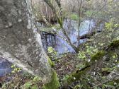 Išskirtinis 2,59 Ha Sklypas Prie Širvintos Upės - nuotraukos Nr. 8