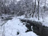 Išskirtinis 2,59 Ha Sklypas Prie Širvintos Upės - nuotraukos Nr. 9