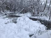 Išskirtinis 2,59 Ha Sklypas Prie Širvintos Upės - nuotraukos Nr. 10