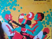 Vinilinės plokštelės - nuotraukos Nr. 32