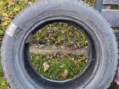 Roadstone žieminės R16 205/60 22m - nuotraukos Nr. 2
