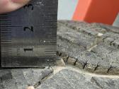 Michelin Pilot Alpin M+s padangos 255/35r19 - nuotraukos Nr. 5