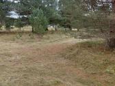 Sklypas namų valda - nuotraukos Nr. 4