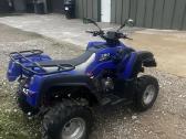Parduodu Adly 280 Atv - nuotraukos Nr. 2