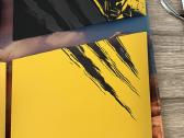 Marvel Wolverine ps5 pro plokštes - nuotraukos Nr. 2