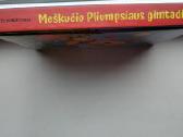 Meškiuko Pliumpsiaus gimtadienis. Dėlionių knygelė - nuotraukos Nr. 8