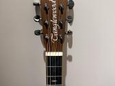 Tanglewood elektroakustinė gitara - nuotraukos Nr. 3