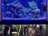 Parduodamas jūrinis akvariumas Red Sea Reefer 250 - nuotraukos Nr. 3