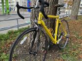 Plentinis dviratis Viking Xrr 54 cm - nuotraukos Nr. 3