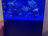 Parduodamas jūrinis akvariumas Red Sea Reefer 250 - nuotraukos Nr. 4