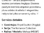 Royal Doulton porceliano kavos servizas - nuotraukos Nr. 14