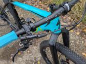 Specialized carbon - nuotraukos Nr. 4