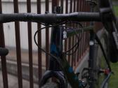 Vitus Energie EVO C (2021) Gravel dviratis L - nuotraukos Nr. 7