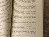 Mūsų rykštė 1929 m. - nuotraukos Nr. 5