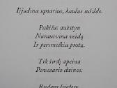 Suvokimai - nuotraukos Nr. 5