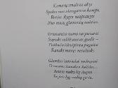 Suvokimai - nuotraukos Nr. 7