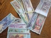 Lietuviškų banknotų pavyždžių lankstinukai - nuotraukos Nr. 3