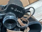 Ziuronas. - nuotraukos Nr. 2