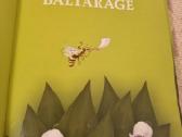 Baltaragė - nuotraukos Nr. 2