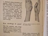 Jogos sistemos pradmenys - nuotraukos Nr. 5