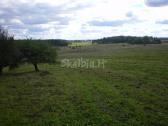 Perkame mišką, žemes, pievas dirbamas ir apleistas | Skelbiu.lt Perkame mišką, žemes, pievas dirbamas ir apleistas