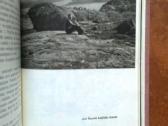 Antanas Venclova " Jaunystes Atradimas" 1966 m. - nuotraukos Nr. 8