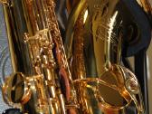 Selmer,yamaha,yanagisawa,pustukai visiem saxofonam - nuotraukos Nr. 7