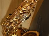 Selmer,yamaha,yanagisawa,pustukai visiem saxofonam - nuotraukos Nr. 11