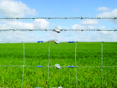 Gripple *Barbed Wire - Gripple Spygliuotai vielai