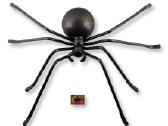 Metalinis voras ( metal spider ) - nuotraukos Nr. 8