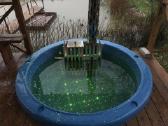 Klaipėda Pirtis Rimkuose(garinė+rusiška+sauna)spa - nuotraukos Nr. 12