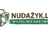 Miltelinis dažymas, smėliavimas Vilniuje - nuotraukos Nr. 6