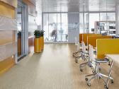 Parduodame Lvt vinilines lenteles tik 14.00 eurai. - nuotraukos Nr. 9