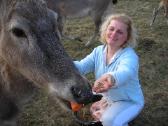 Danieliai jaukūs, perliniai, Dovydo elniai - nuotraukos Nr. 17