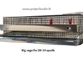 Modelis PK-1 - nuotraukos Nr. 12