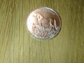 Lietuvių skalikas - žemaitukas 1,50 Eur - nuotraukos Nr. 2