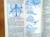 Pirmieji "Turizm i Rybalka" numeriai 1991 metai - nuotraukos Nr. 10