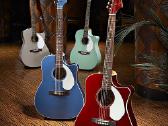 Individualios gitaros pamokos - nuotraukos Nr. 2